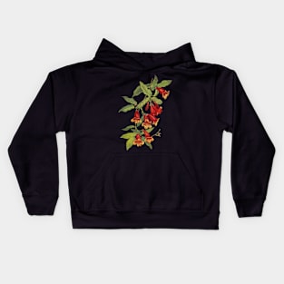 Crossvine - Bignonia capreolata - botanical illustration Kids Hoodie